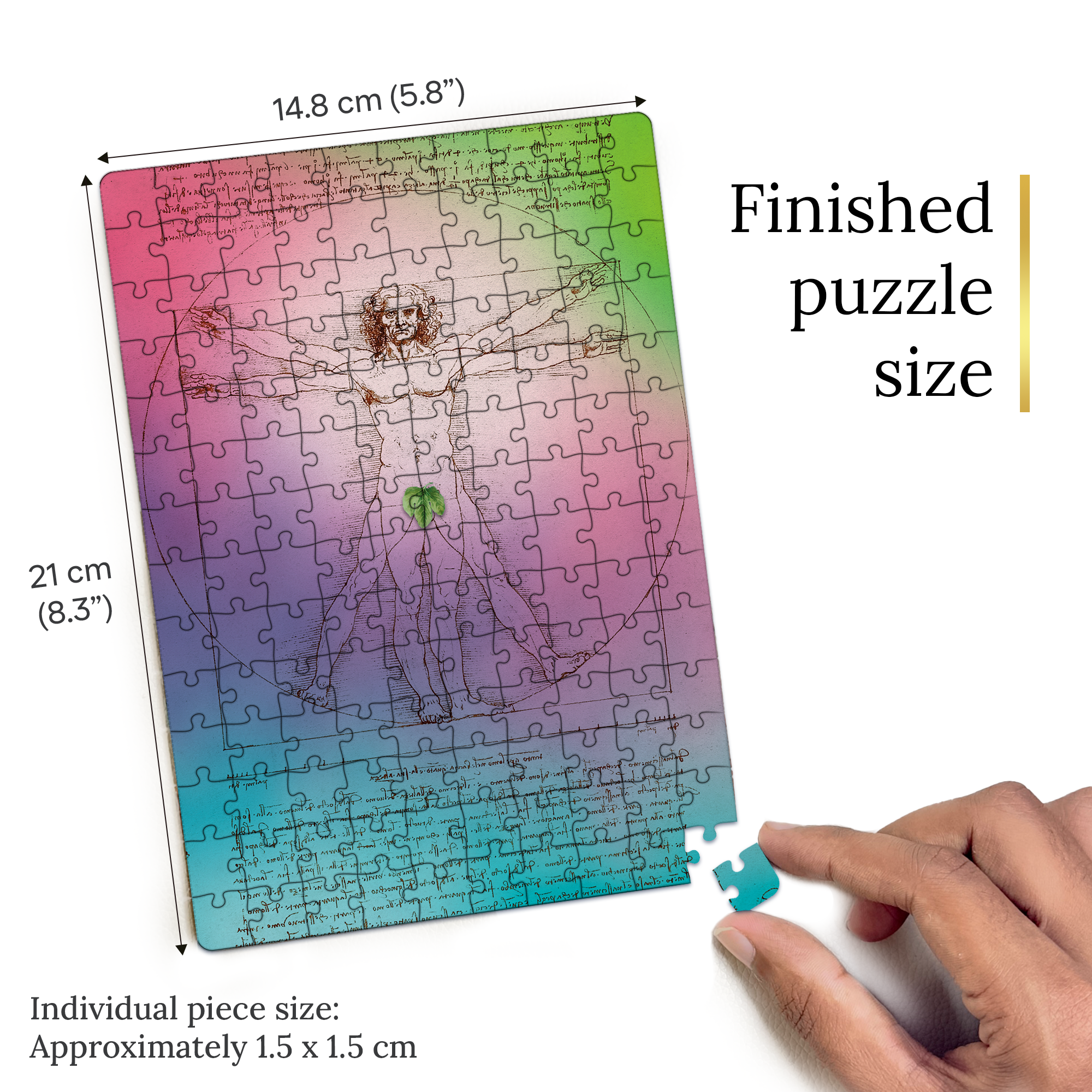 Vitruvian Man Pocket Puzzle