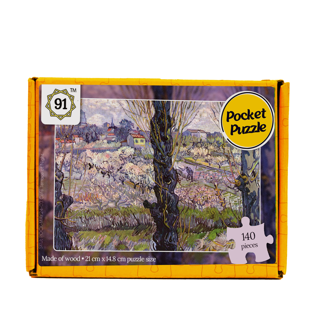 View of Arles Pocket Puzzle