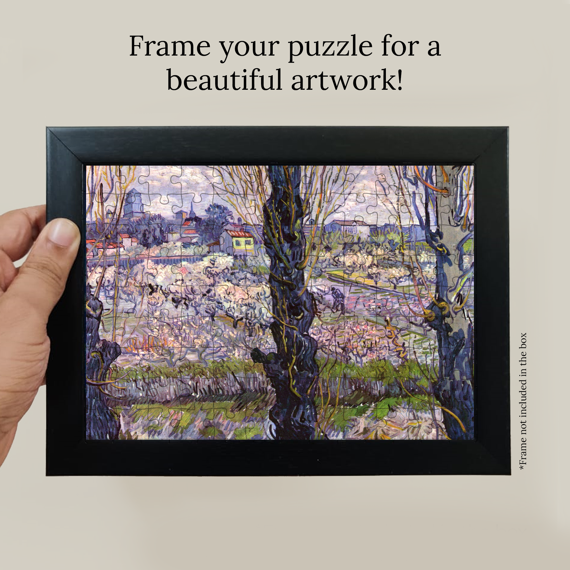 View of Arles Pocket Puzzle