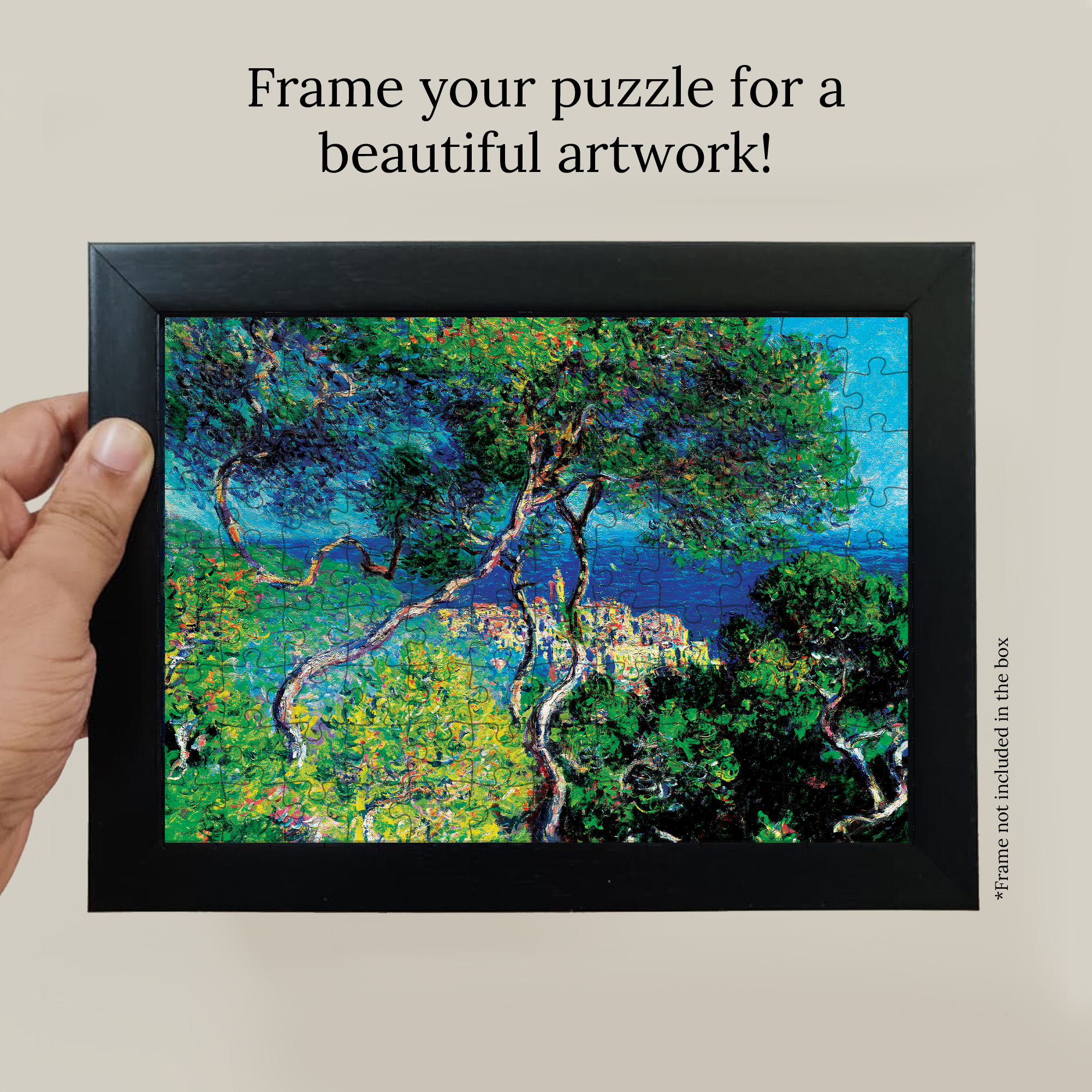 Bordighera (1884) Pocket Puzzle